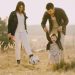 A joyful family playing soccer together in a sunlit field, showcasing love and togetherness.